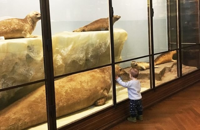 Statt Zoo: Mit Kindern im Naturhistorischen Museum